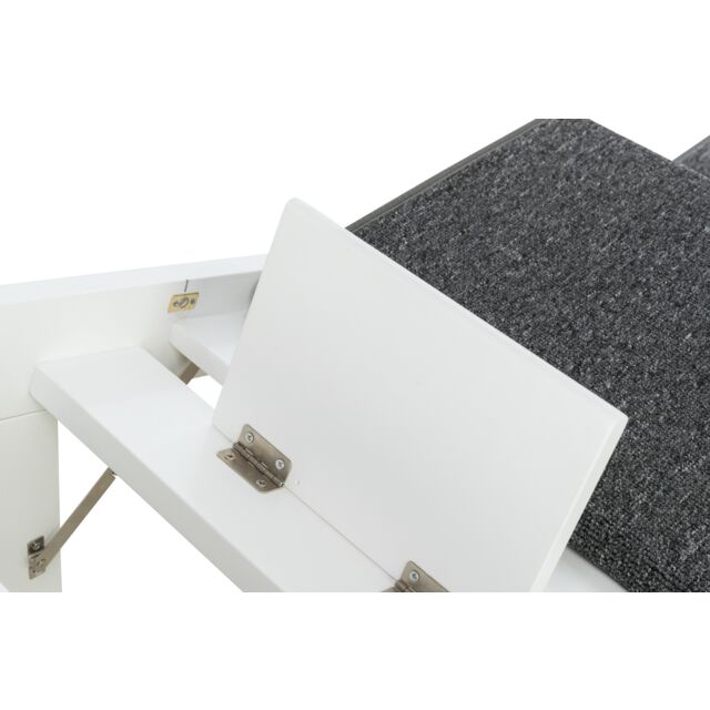 Ramp with fold-out steps