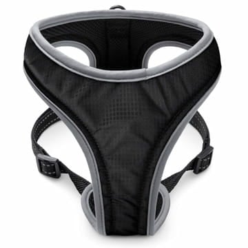 Harnais Sport Soi Uni noir
