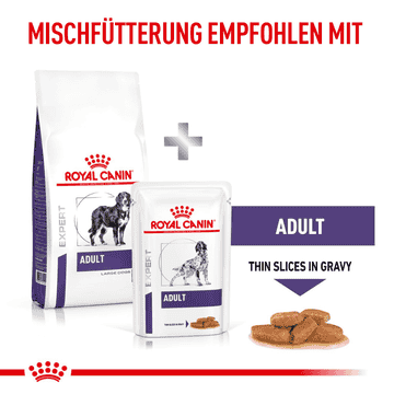 Adult Large Dog