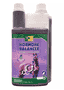 Hormone Balancer