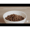 Puppy Small & Mini Breed