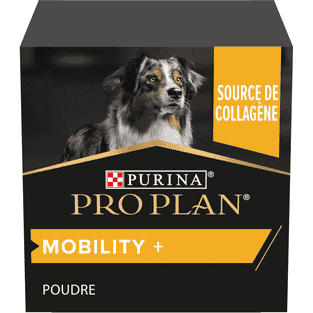 Dog Mobility +