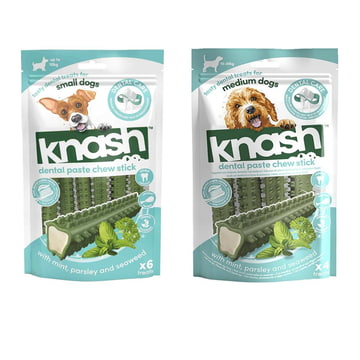 Dental Paste Chew Stick with mint
