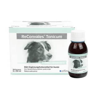 Reconvales Tonicum Hund