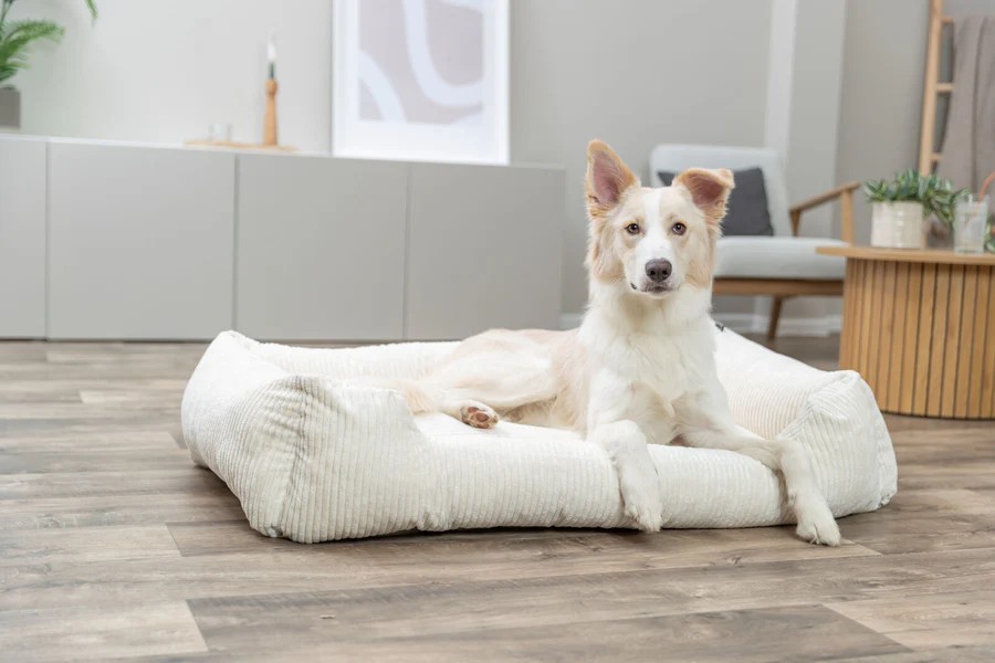 Vital bed Jonna creme