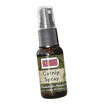 KONG Catnip Spray
