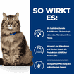 Feline Gastrointestinal Biome