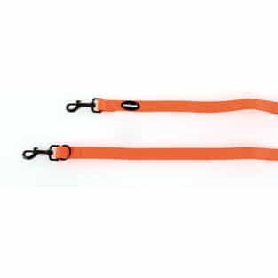 NEON leashes, orange