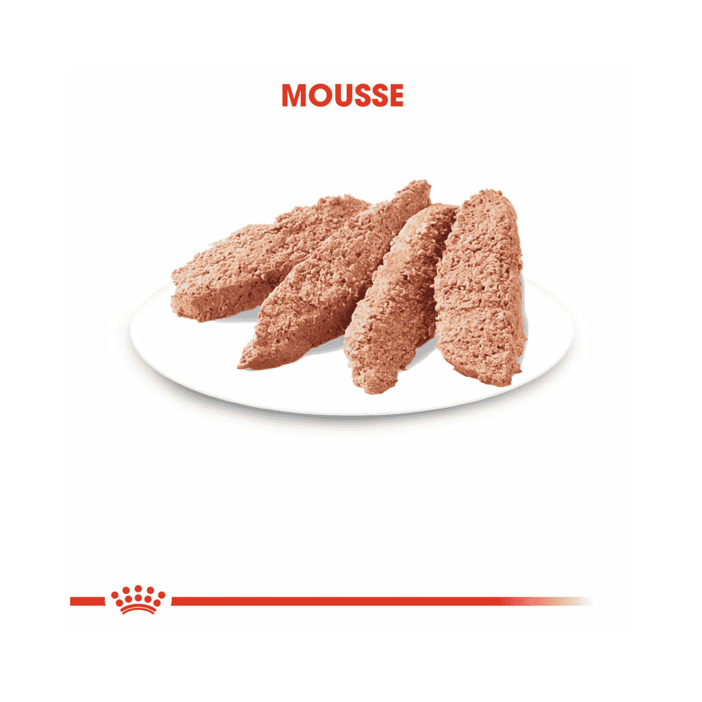 Instinctive mousse - sachet