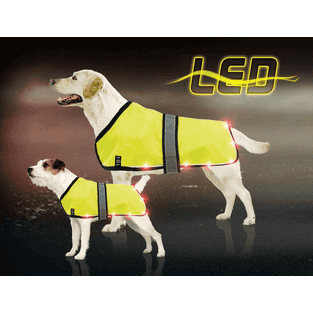 Manteau lumineux avec LED