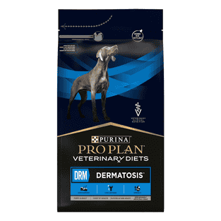 CANINE DRM Dermatosis