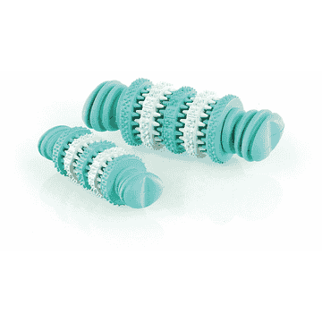 Os dental mint