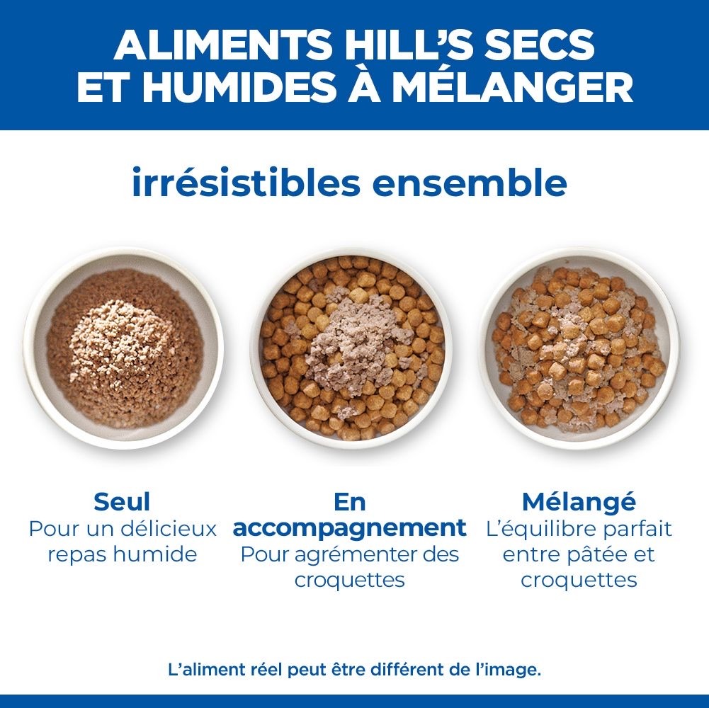 Canine Hypoallergenic Adult Salmon - Boîte