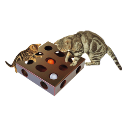 Box de jeu avec balle swisspet pour chats