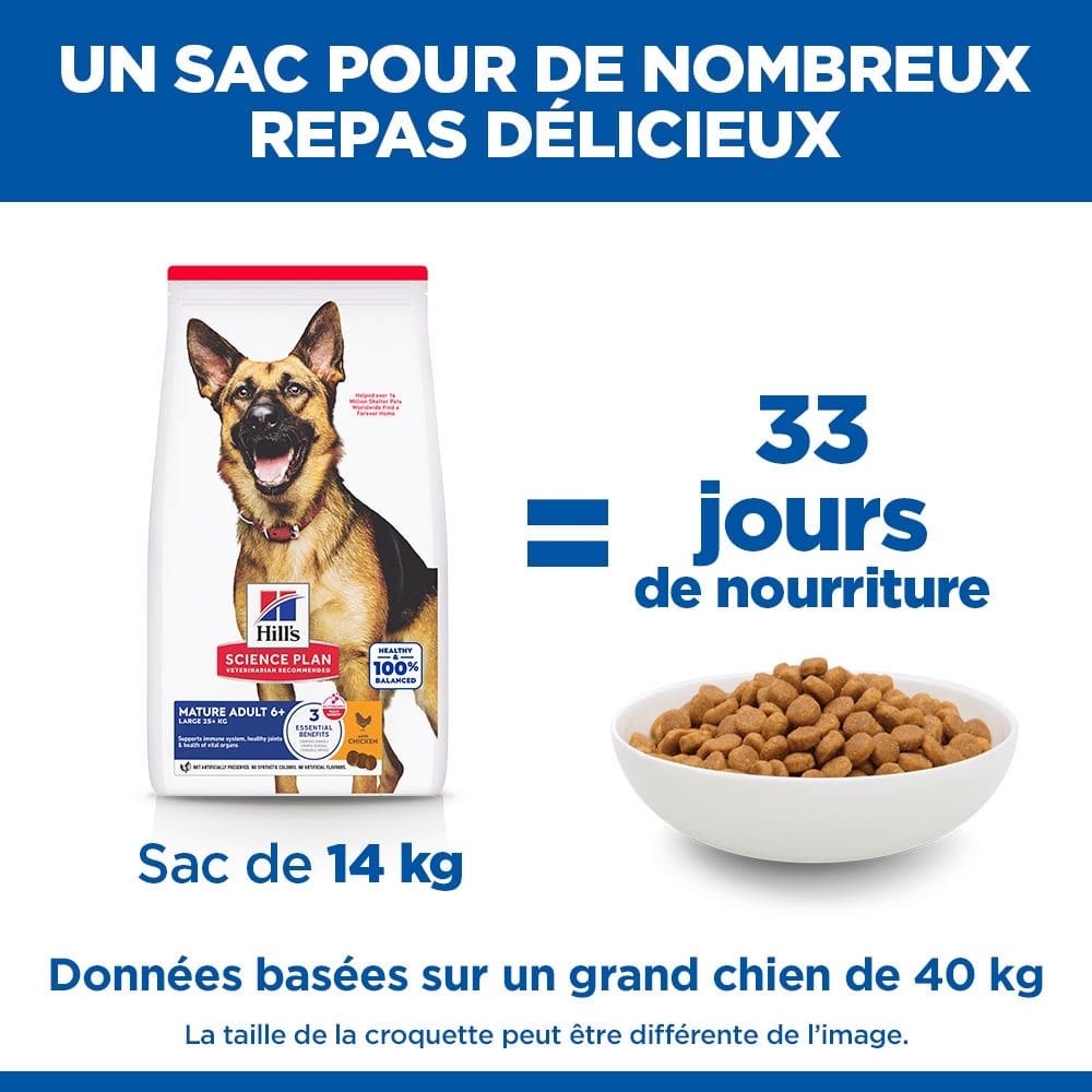 Canine Mature Adult 6+ Large Breed