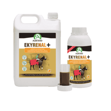 Ekyrenal Plus