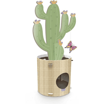 Cactus en carton