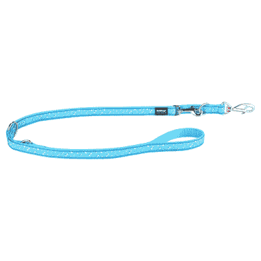 Laisse Design Flying Bones Turquoise