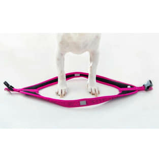 Harnais pour chien Fast-Fit rose
