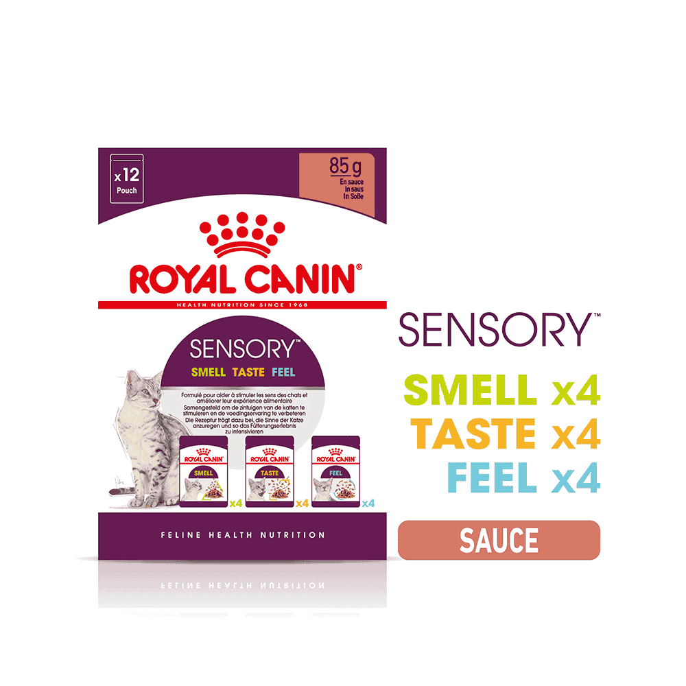 SENSORY SMELL, TASTE, FEEL en Sauce, Sachets