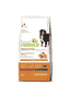 Sensitive no gluten Adult Medium&Maxi Saumon