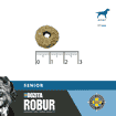 Dog Robur Adult Senior