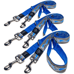 Laisse pour chien "Reflective" bleu