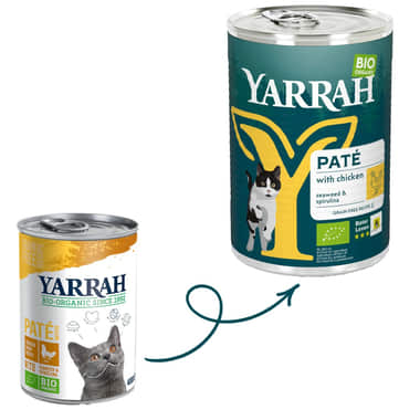 Pâté bio au poulet pour chats - boîte