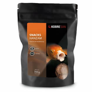 Snacks Hanzam