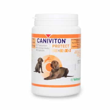 Caniviton Protect