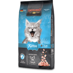 Kitten mit Geflügel