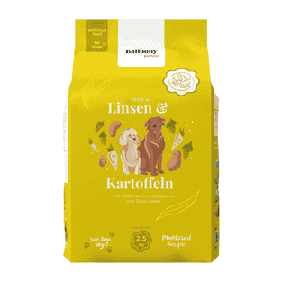 Dog Lentilles & Pommes de terre Vegan