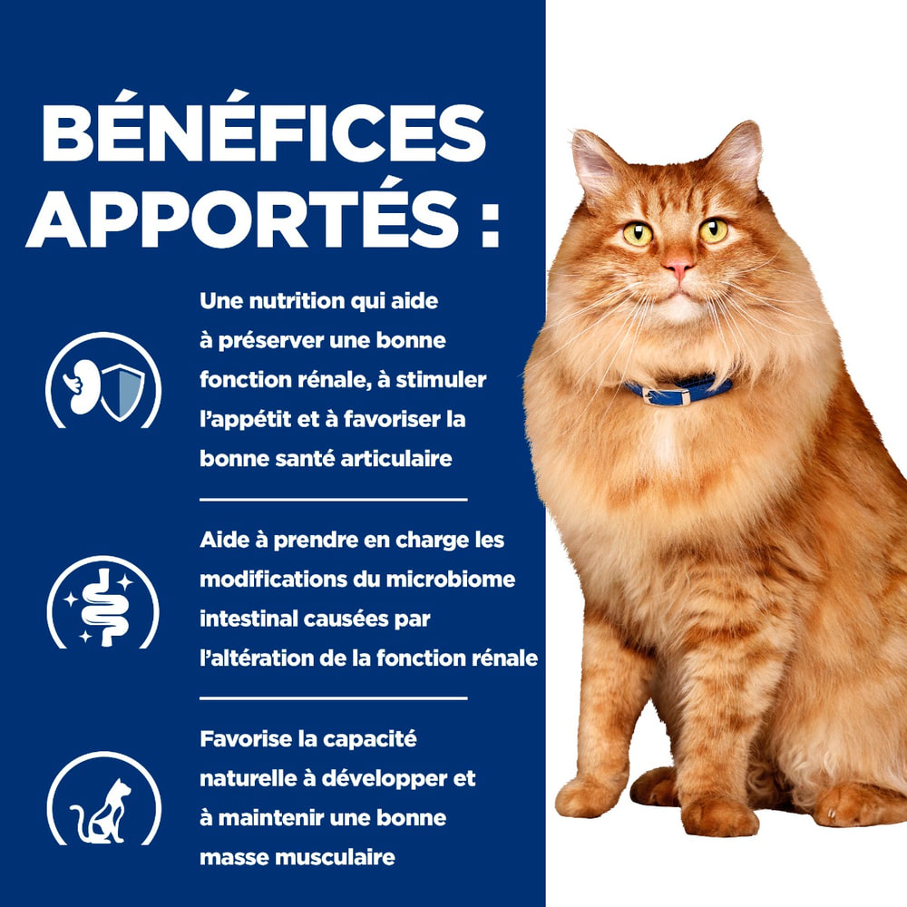 Feline k/d + j/d Kidney + Mobility