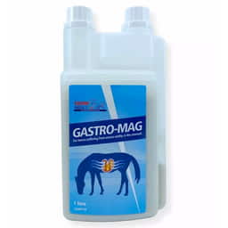 Gastro Mag