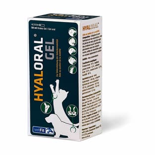 Hyaloral Gel