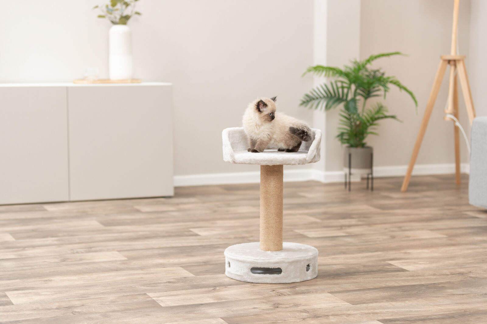 Dalia cat scratcher