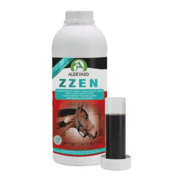 Zzen