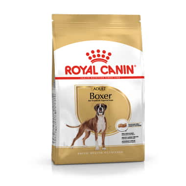 Boxer