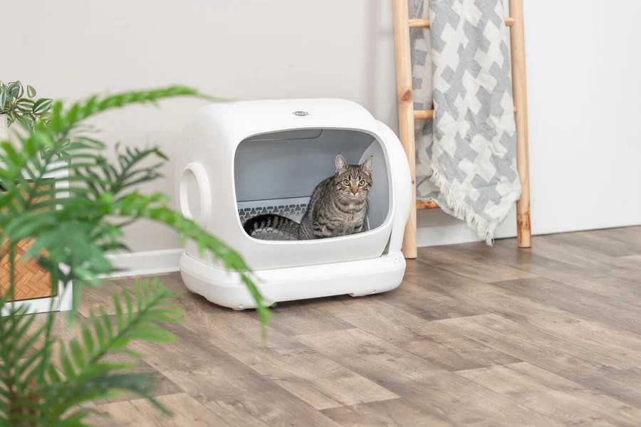 XL Self-Cleaning Litter Box