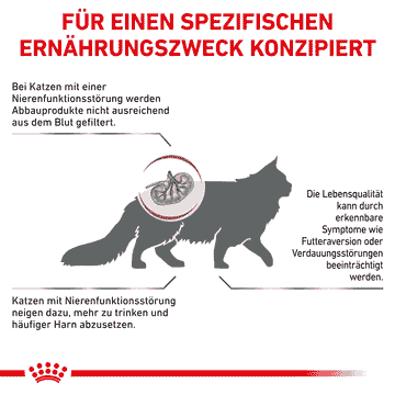 Renal Special Cat