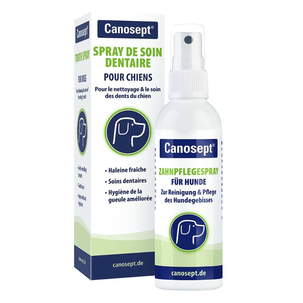 Dental care spray