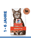 Feline Adult Lamb