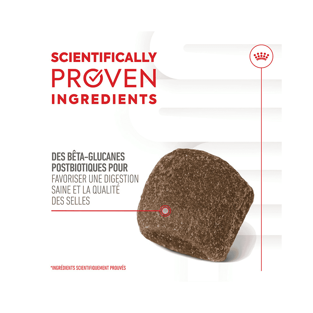 Digestion Chews Adult Supplements