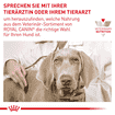 Anallergenic Small Dogs