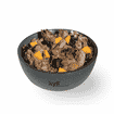 Complete Menu Venison with Squash and Plumes