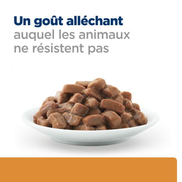 Feline k/d Kidney Care Beef - Sachet fraîcheur