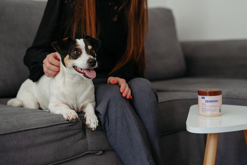 Zenidog Gel Diffuser