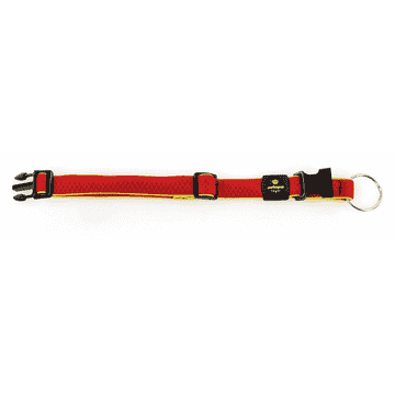 Active Dog Collier