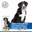 Canine Senior Vitality 6+ Large Breed