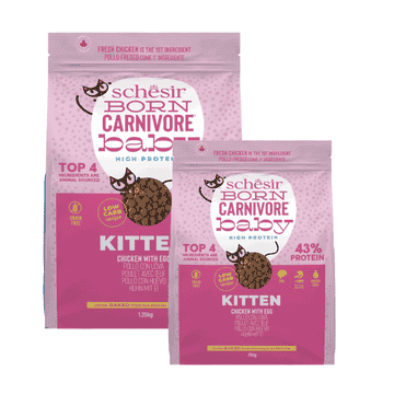 Born Carnivore Kitten Huhn & Ei